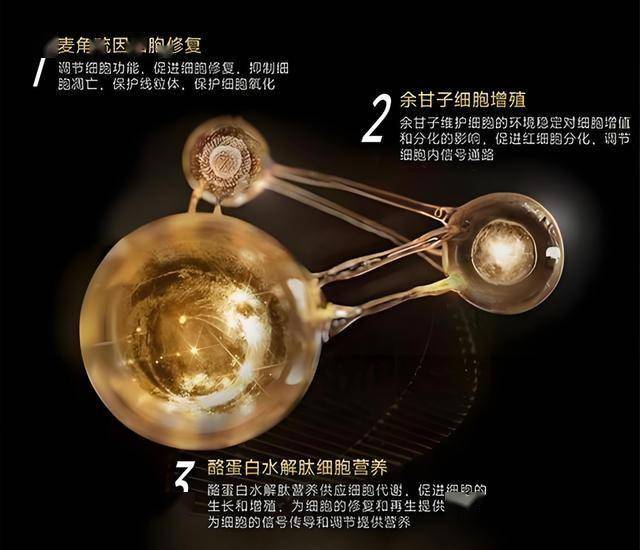 中国支出者协会发布全国支出维权十大典型司法案例：卓越亚马逊、百年人寿、沪江教育、申通、长城宽带等被点名